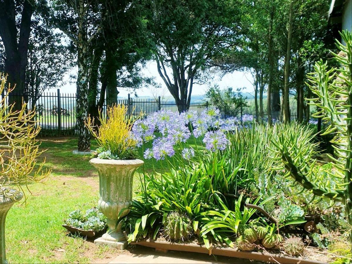 Rand Self-Catering Accommodation Carolina ภายนอก รูปภาพ