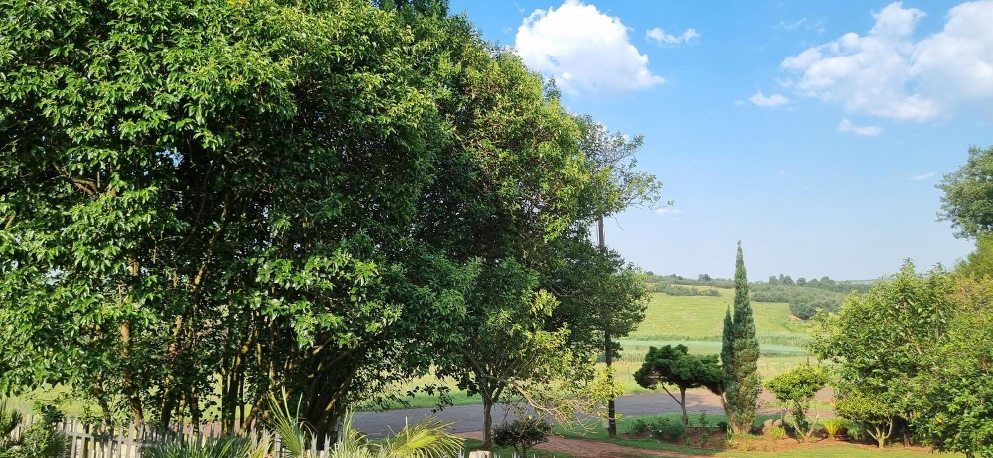 Rand Self-Catering Accommodation Carolina ภายนอก รูปภาพ